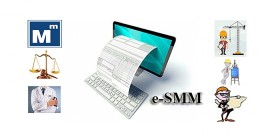 e-SMMM Uygulaması